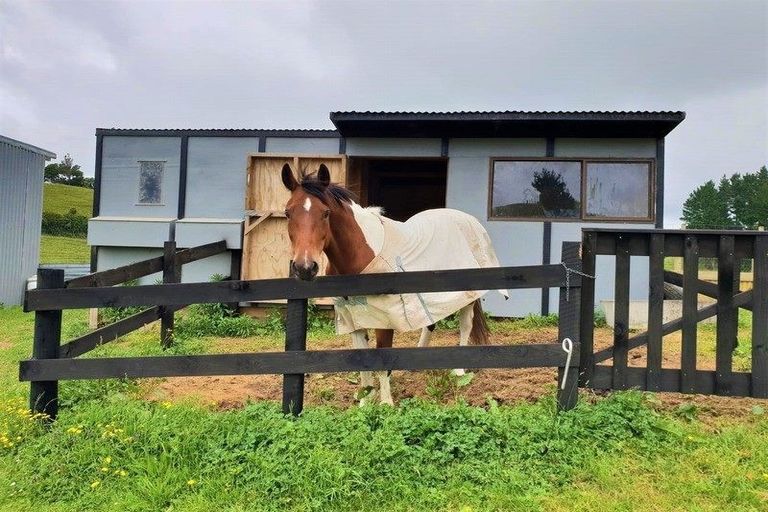 Photo of property in 63a Saxton Road, Upper Vogeltown, New Plymouth, 4371