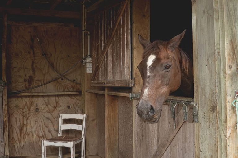 Photo of property in 131 Oyster Point Road, Kaukapakapa, Warkworth, 0984
