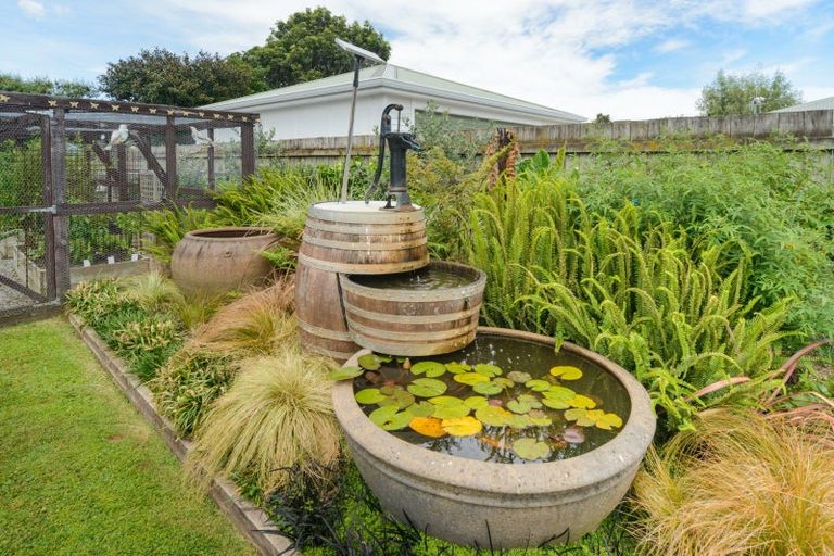Photo of property in 317 Kimbolton Road, Feilding, 4702