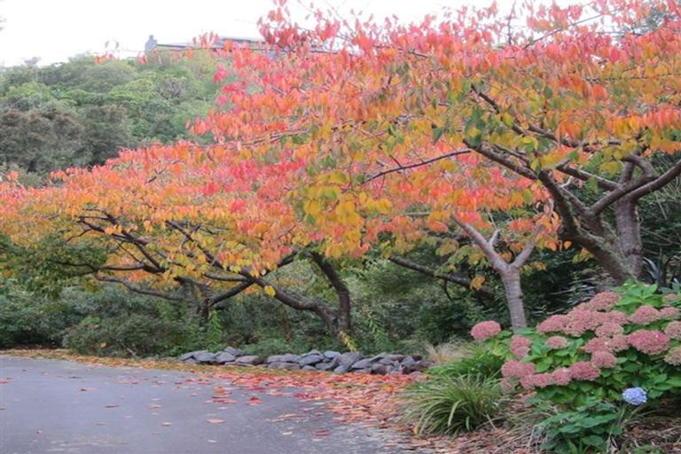 Photo of property in 2 Whakamoenga Point, Acacia Bay, Taupo, 3385