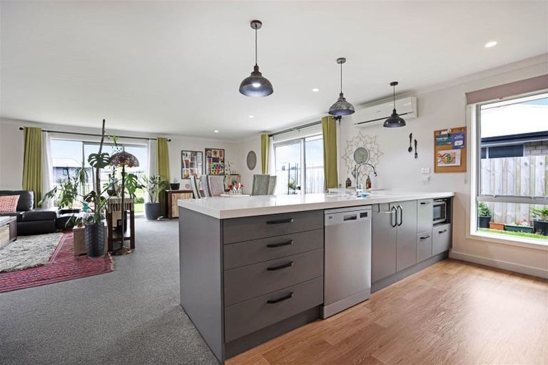 Photo of property in 45 Redhaven Rise, Netherby, Ashburton, 7700