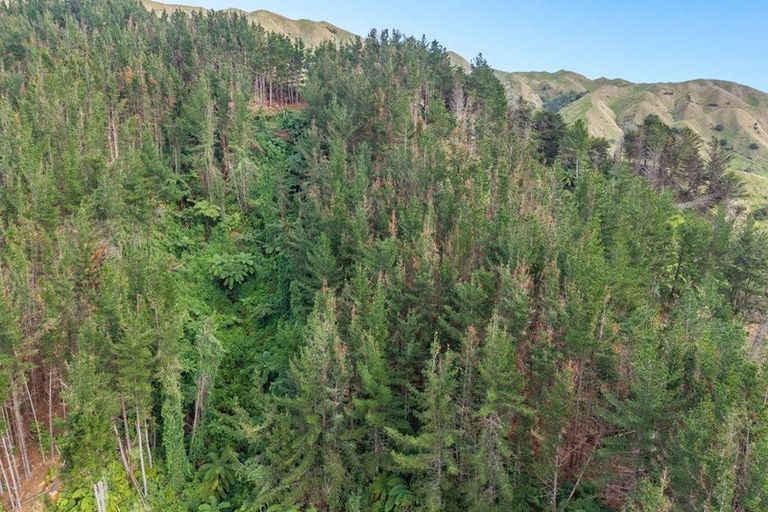 Photo of property in 132 Mangaone Road, Hautere, Otaki, 5582
