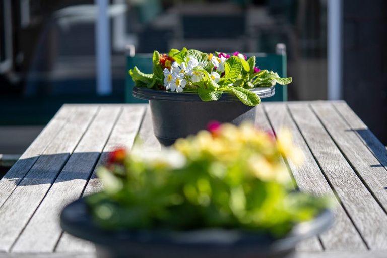 Photo of property in 7 Mckinnon Street, Leamington, Cambridge, 3432