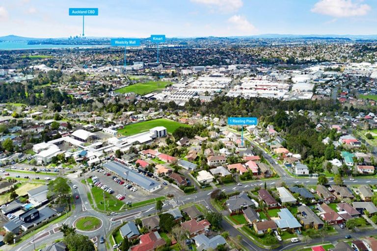 Photo of property in 1 Riesling Place, Henderson, Auckland, 0612