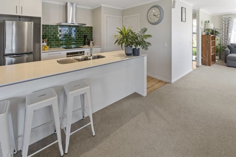 Photo of property in 20 Travers Avenue, Richmond, 7020