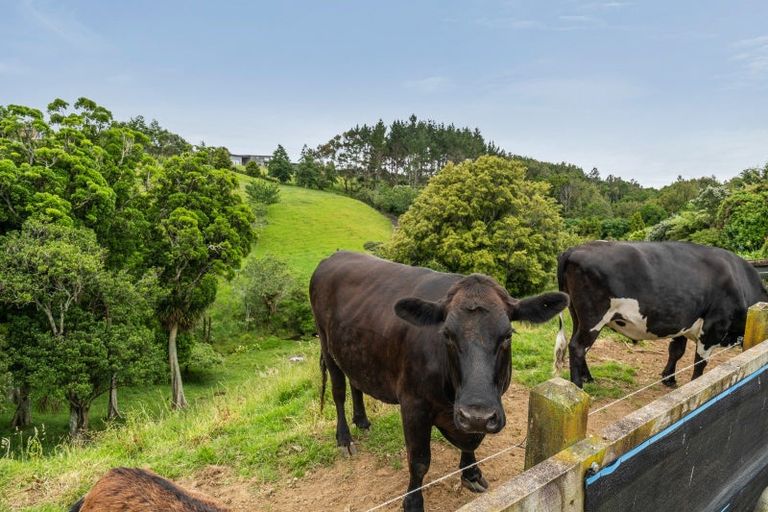 Photo of property in 66 Mcgiven Drive, Ridgewood, New Plymouth, 4371