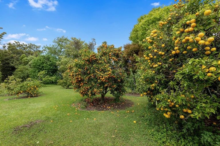 Photo of property in 366 Thornton Road, Thornton, Whakatane, 3194