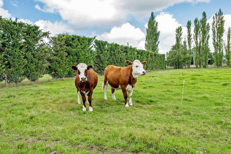 Photo of property in 15 Stewarts Road, Leeston, 7682