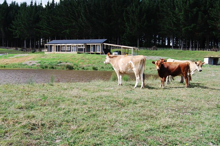 Photo of property in 956c Oneriri Road, Kaiwaka, 0573