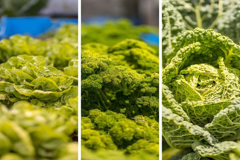 Photo of property in 347 Henwood Road, Hillsborough, New Plymouth, 4372