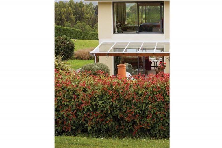 Photo of property in 294 Tirohanga Road, North Taieri, Mosgiel, 9092