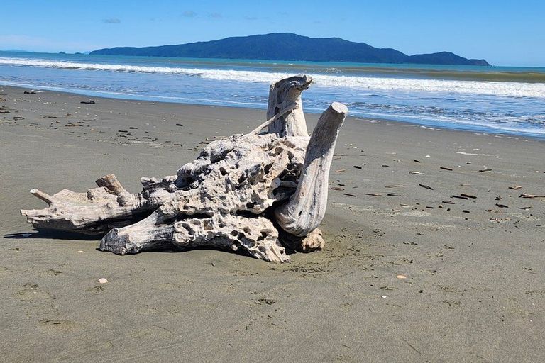 Photo of property in 273 Peka Peka Road, Peka Peka, Waikanae, 5391