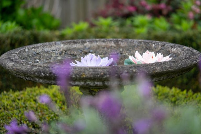 Photo of property in 3 Alba Place, Cambridge, 3434