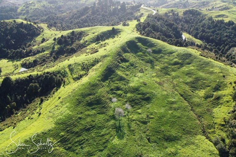 Photo of property in 171 Arcadia Road, Paparoa, 0571