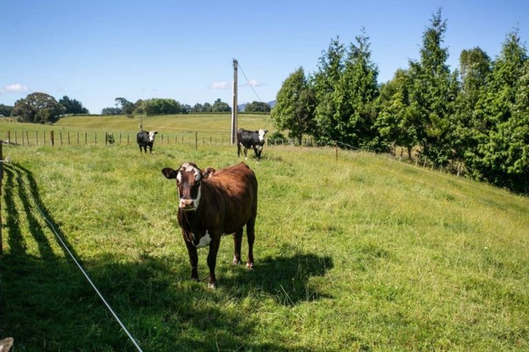 Photo of property in 1570 Buckland Road, Karapiro, Cambridge, 3496