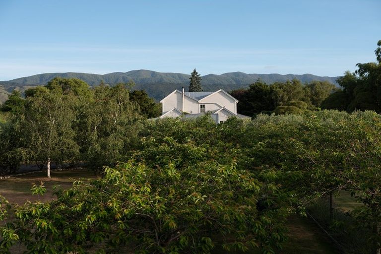 Photo of property in Tuhitarata Homestead, 2337 Kahutara Road, Pirinoa, Featherston, 5772