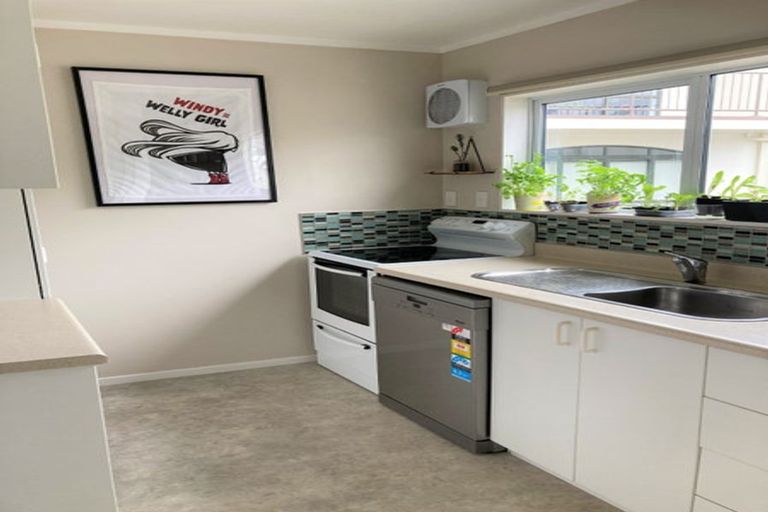 Photo of property in 44p Roxburgh Street, Mount Victoria, Wellington, 6011