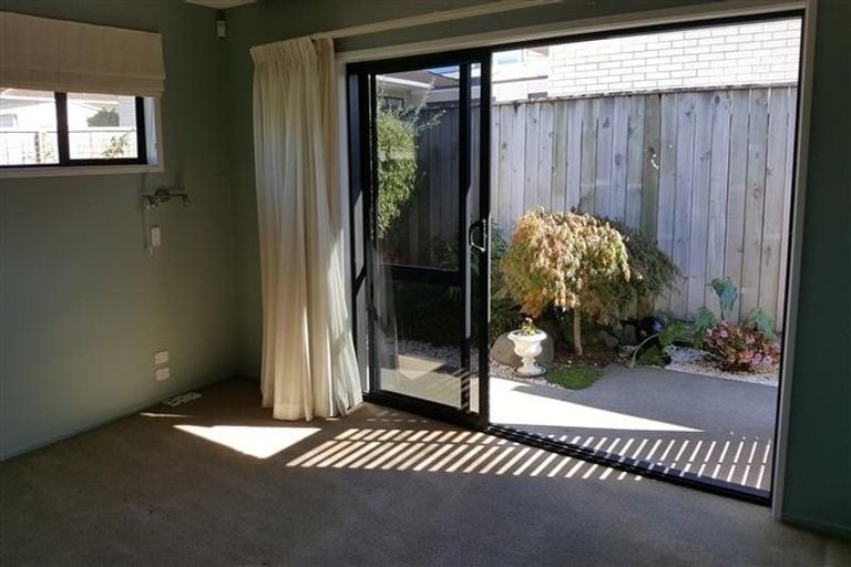 Photo of property in 62a Paynters Avenue, Strandon, New Plymouth, 4312