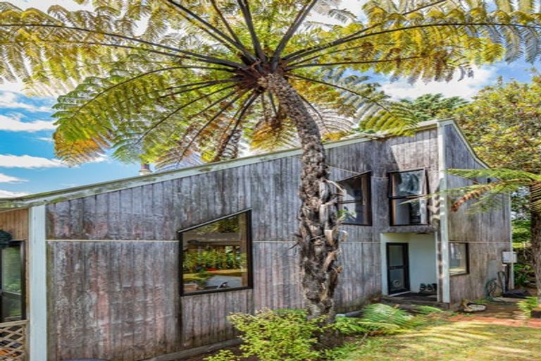 Photo of property in 224 Cambridge Street, Levin, 5510