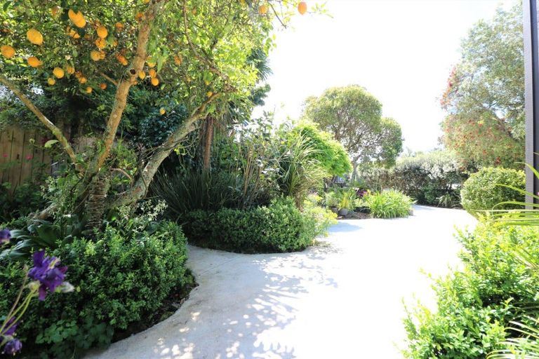 Photo of property in 13 Marlin Place, Whiritoa, Whangamata, 3691
