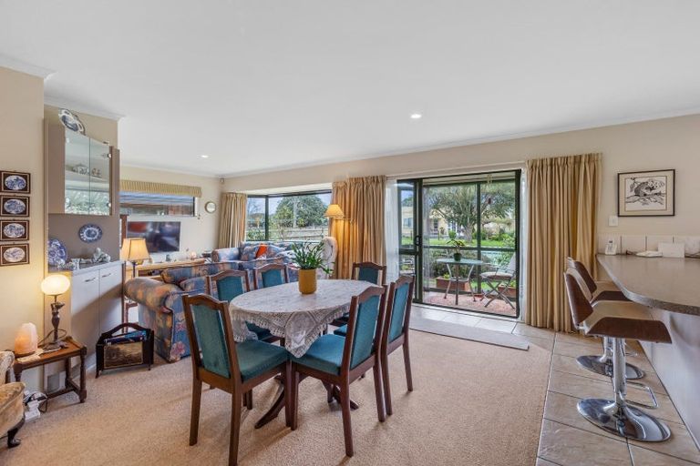 Photo of property in 53 Duke Street, Levin, 5510