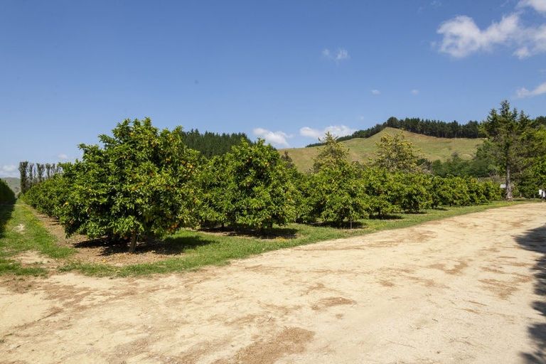 Photo of property in 98 Taurau Valley Road, Manutuke, 4072