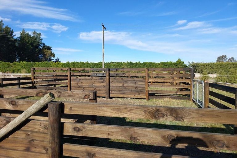 Photo of property in 8 Minnie Street, Waimate, 7980