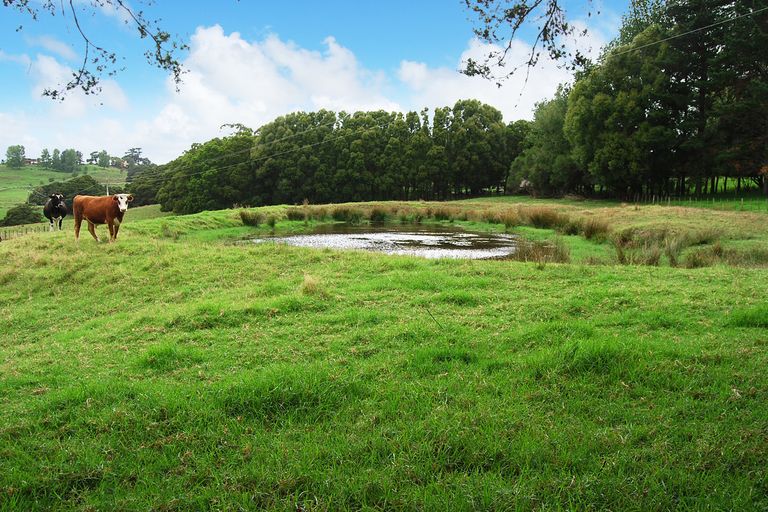 Photo of property in 63 Marshall Road, Kaiwaka, 0573