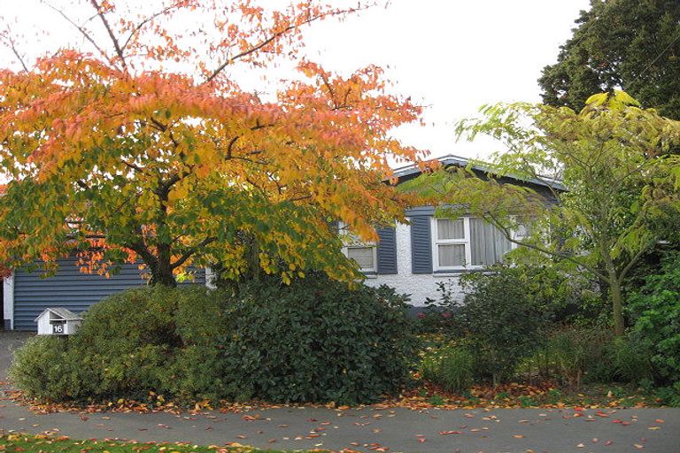 Photo of property in 16 Wilfrid Street, Ilam, Christchurch, 8041
