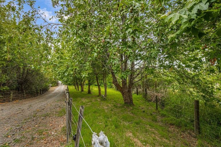 Photo of property in 305 Rapson Road, Kaukapakapa, 0871