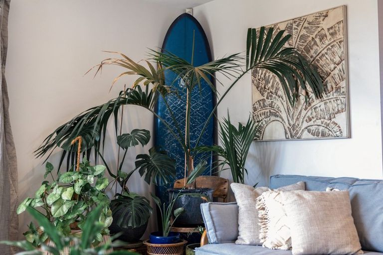 Photo of property in 1 Rocking Horse Road, Southshore, Christchurch, 8062