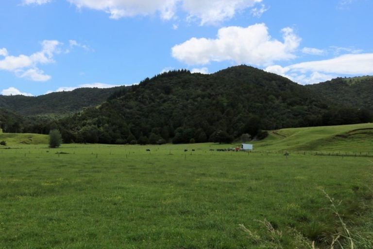 Photo of property in 1008 Tangowahine Valley Road, Tangowahine, Dargaville, 0372