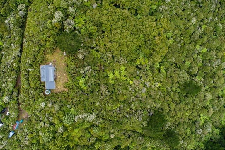 Photo of property in 112 Lone Kauri Road, Karekare, New Lynn, 0772