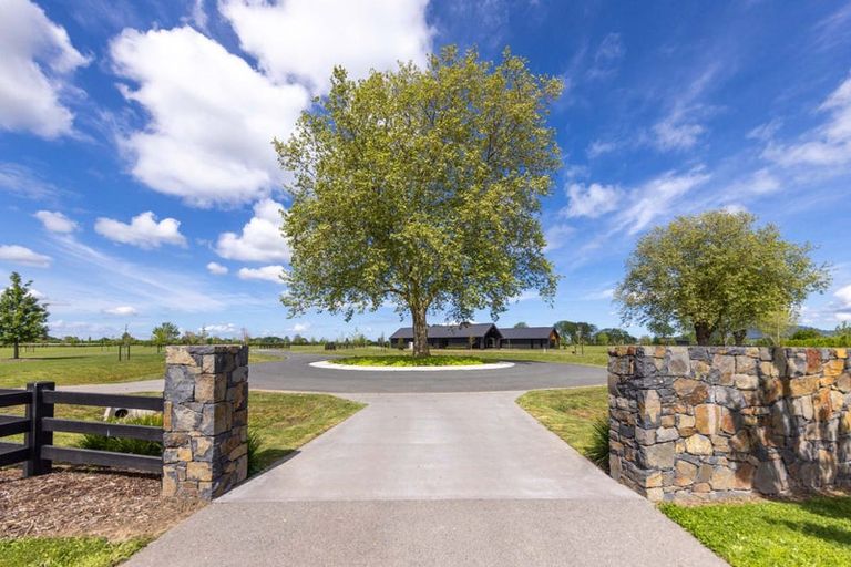 Photo of property in 7 Orchard Place, Matamata, 3472