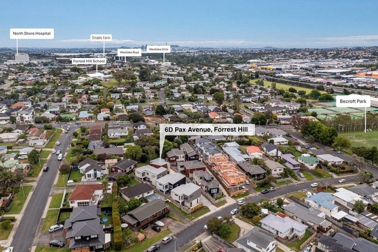 Photo of property in 6d Pax Avenue, Forrest Hill, Auckland, 0620