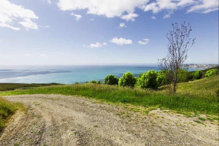 Photo of property in 23 Netherton Road, Omakere, 4271