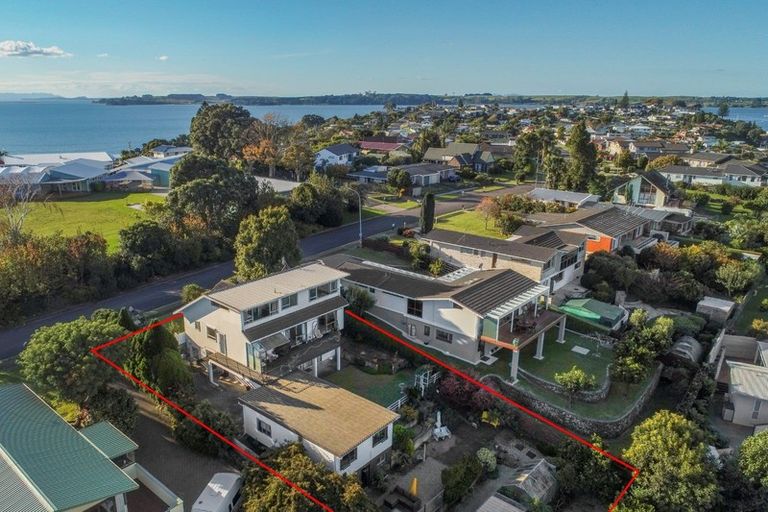 Photo of property in 49 Coppelia Avenue, Omokoroa, 3114