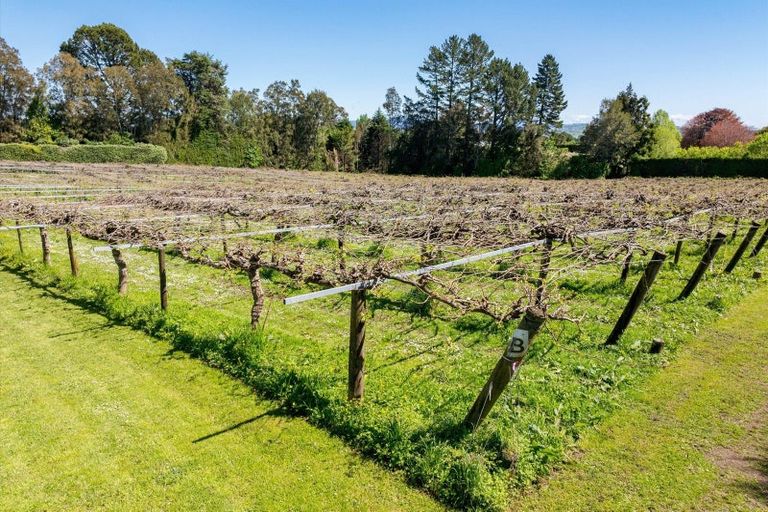 Photo of property in 668 Pyes Pa Road, Pyes Pa, Tauranga, 3173