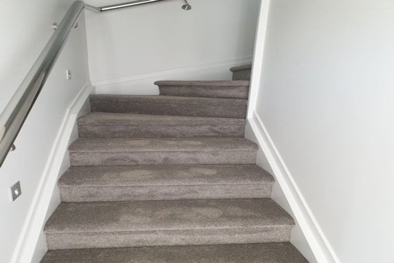 Photo of property in 48d Lyttelton Avenue, Forrest Hill, Auckland, 0620