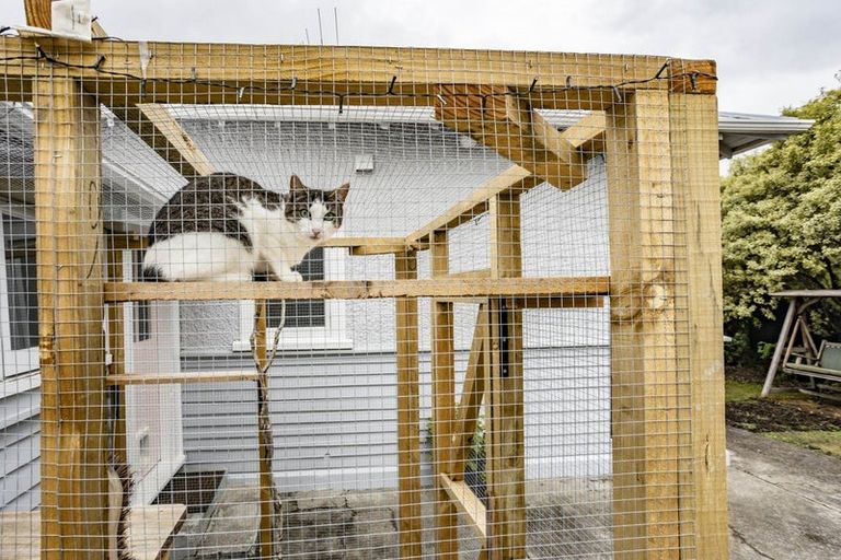 Photo of property in 54 Good Street, Rangiora, 7400