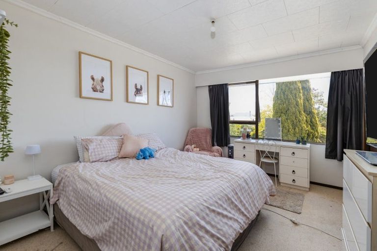 Photo of property in 24 Mountain View Road, Witherlea, Blenheim, 7201