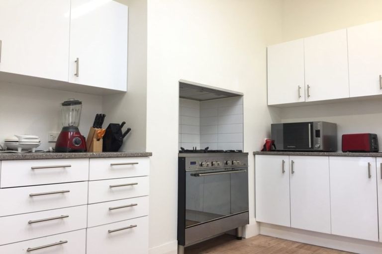 Photo of property in 133 Stafford Street, Dunedin Central, Dunedin, 9016