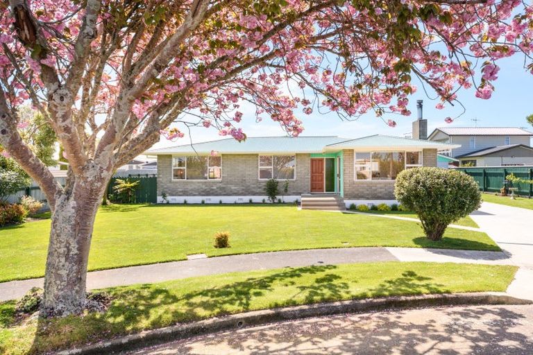 Photo of property in 9 Cheviot Place, Feilding, 4702
