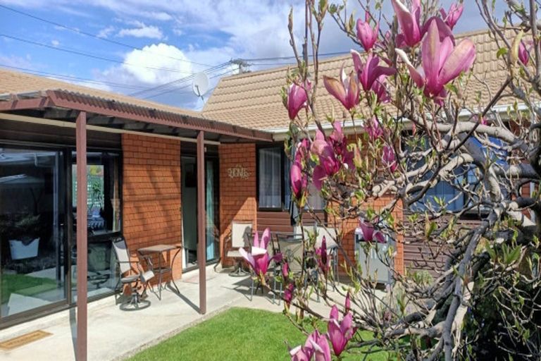 Photo of property in 65b Killarney Street, Alexandra, 9320