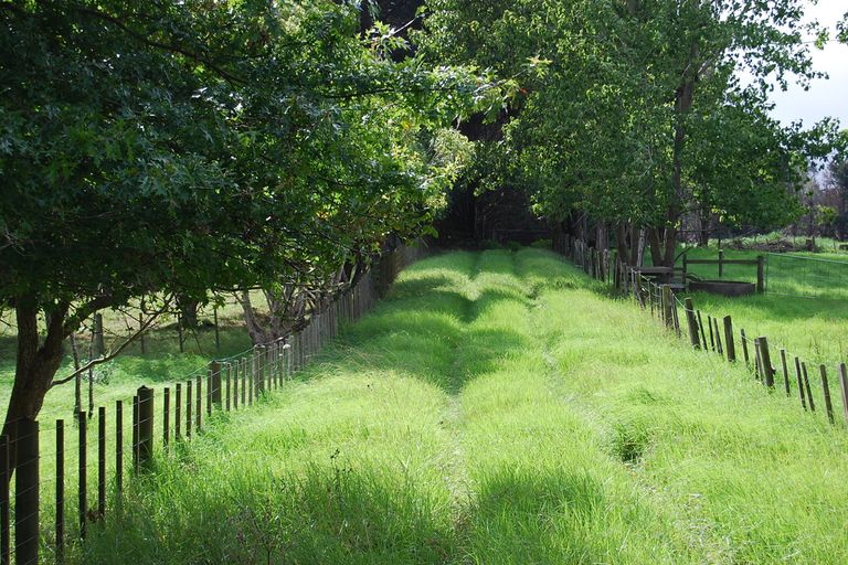 Photo of property in 9 Dolly Lane, Kaiwaka, 0573