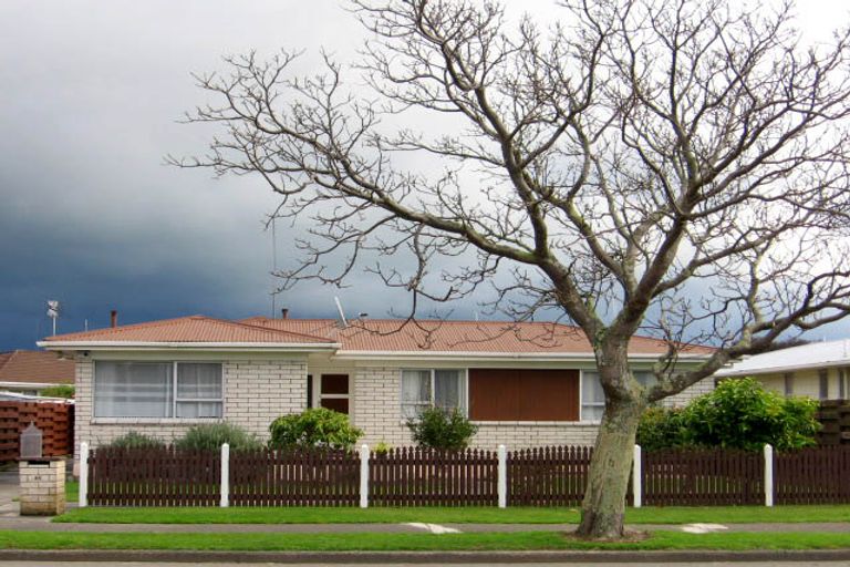 Photo of property in 58 Maxwells Line, Awapuni, Palmerston North, 4412