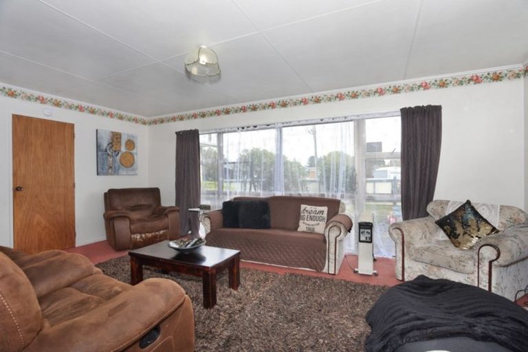 Photo of property in 17 Alexandra Street, Marton, 4710