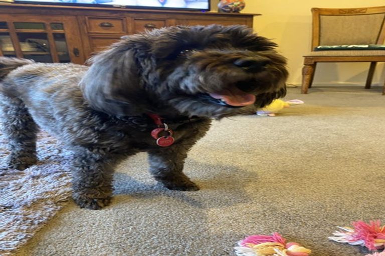 Photo of property in 1407 Whangarei Heads Road, Parua Bay, Whangarei, 0174