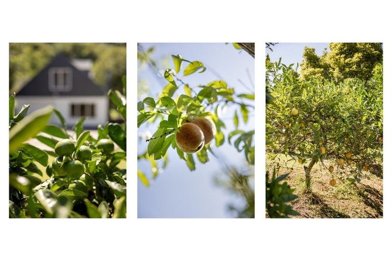 Photo of property in 1 Grasmere Way, Bethlehem, Tauranga, 3110