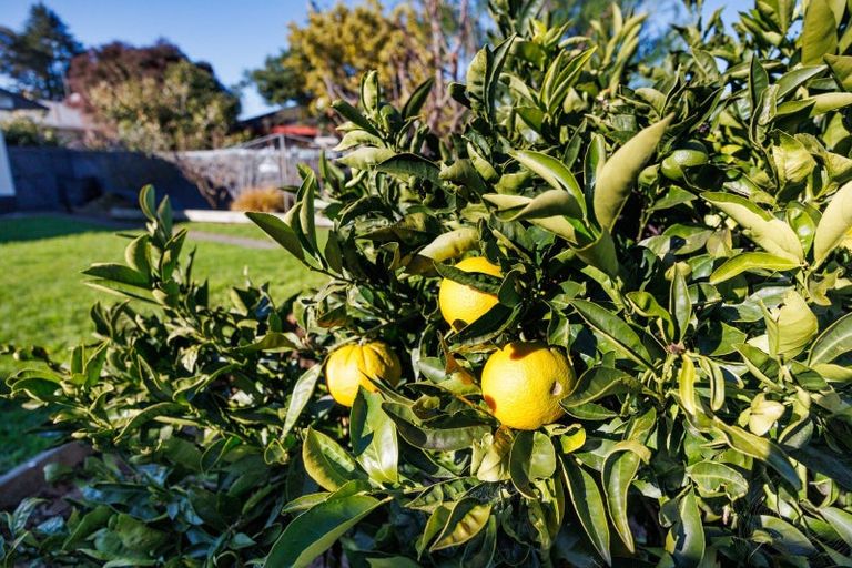 Photo of property in 108 Derby Street, Feilding, 4702